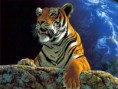 /album/galeria-de-fotos-wallpapers2/tigre-2-jpg/